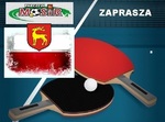 Tenis Stołowy 2022 - grafika oglądowa